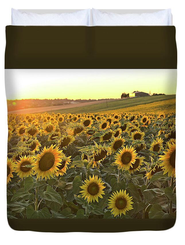 Sunflowers Duvet Cover featuring the photograph Sunflower field sunset #1 by Sean Hannon