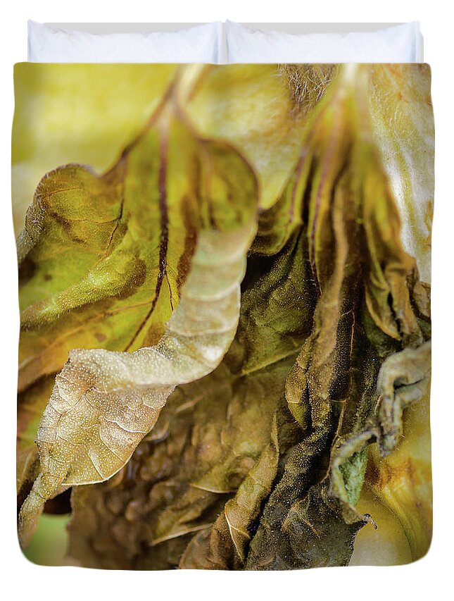 Flowers/plants Duvet Cover featuring the photograph Sunflowers Last Days #1 by Louis Dallara