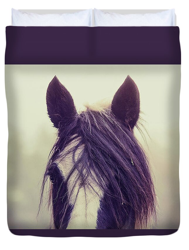 Photographs Duvet Cover featuring the photograph Sunshine - Horse Art #1 by Lisa Saint