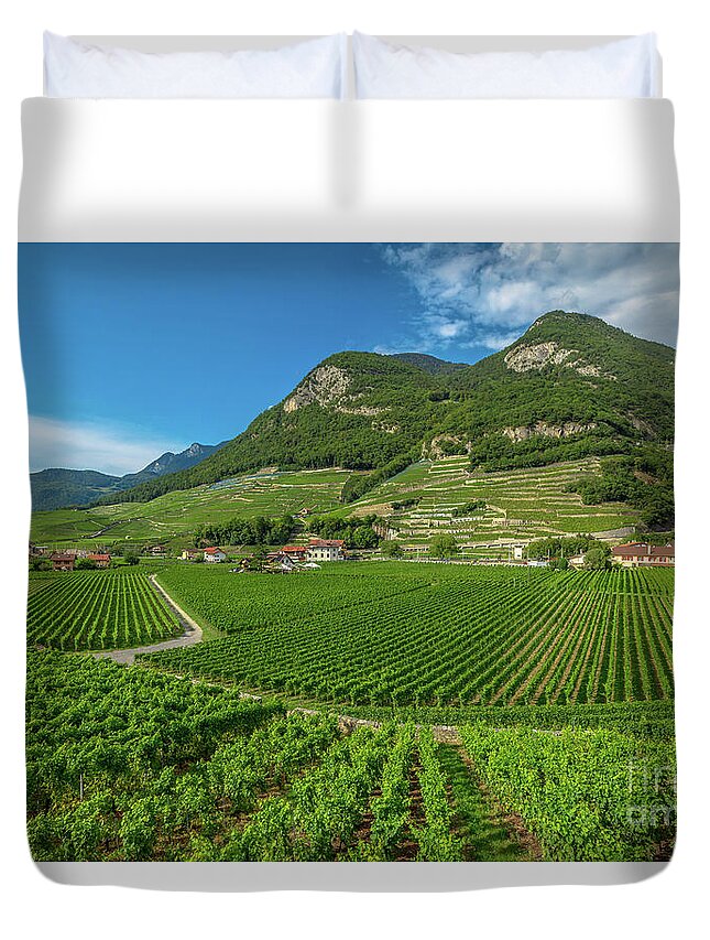 Vineyard Duvet Cover featuring the photograph Terraced vineyards Switzerland #1 by Benny Marty