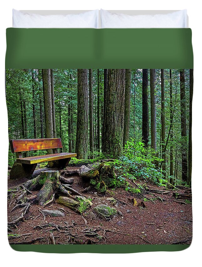 Alex Lyubar Duvet Cover featuring the photograph The Bench at the Forest Trail #1 by Alex Lyubar