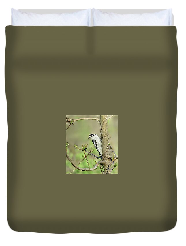 Bird Duvet Cover featuring the photograph The Downy Woodpecker #1 by Rebecca Grzenda