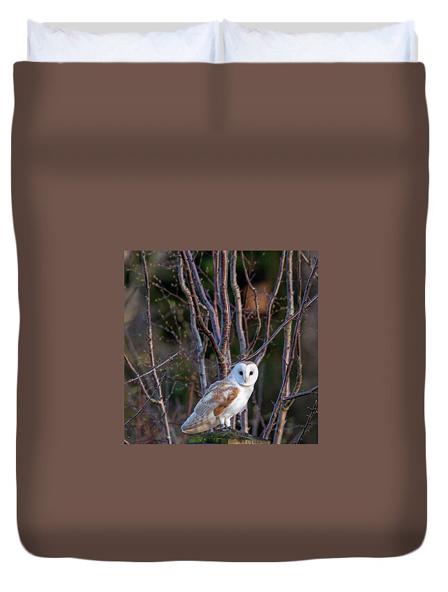 Barn Owl Duvet Cover featuring the photograph The Glance #1 by Mark Hunter