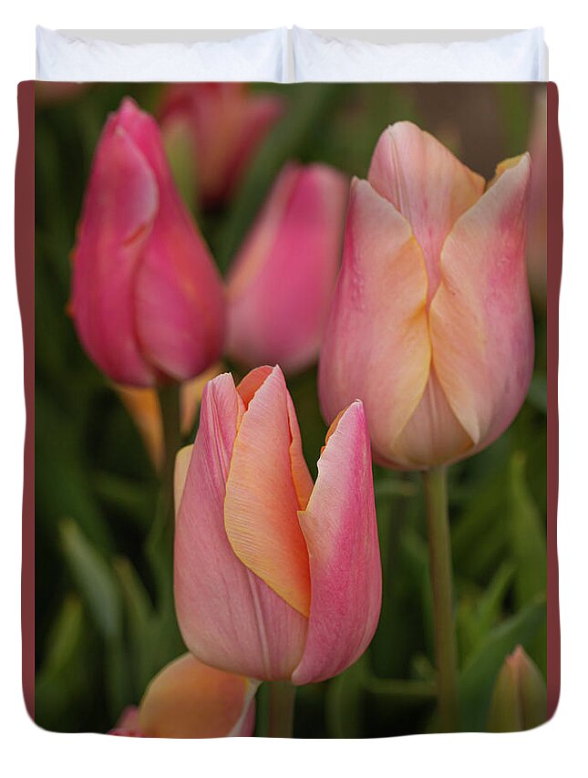 April Duvet Cover featuring the photograph Graceful tulips by Leslie Struxness