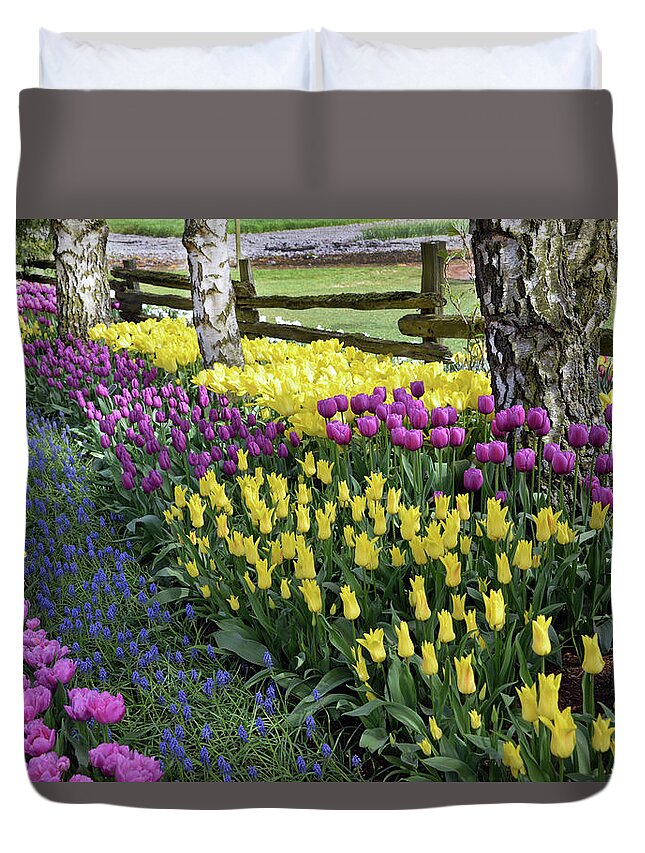 Tulips Duvet Cover featuring the photograph Tulips by Jerry Cahill