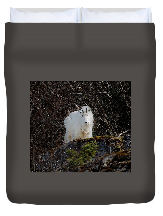 Goat Duvet Cover featuring the photograph Watching by David Kirby