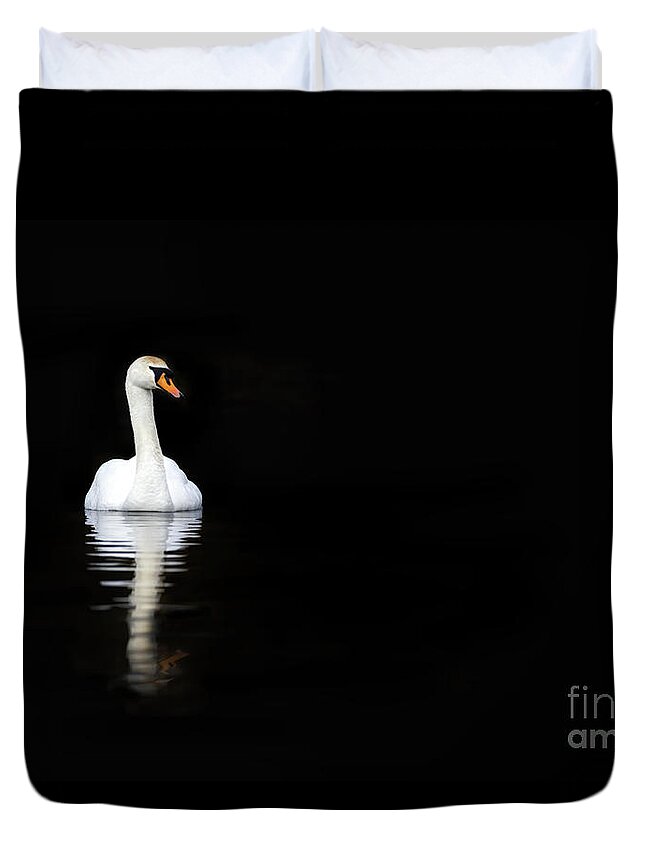 Black Duvet Cover featuring the photograph White swan reflected in calm water #1 by Jane Rix