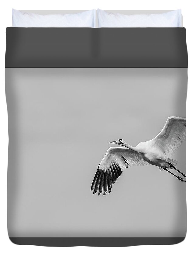 Whooping Crane Duvet Cover featuring the photograph Whooping Crane in Flight #2 by Puttaswamy Ravishankar