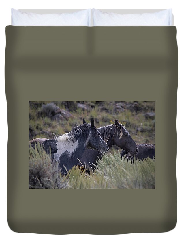 Horse Duvet Cover featuring the photograph Wild Horses #1 by Laura Terriere