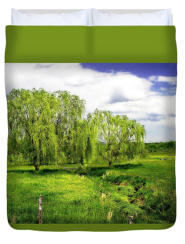 Color Duvet Cover featuring the photograph Willows -2 #1 by Alan Hausenflock