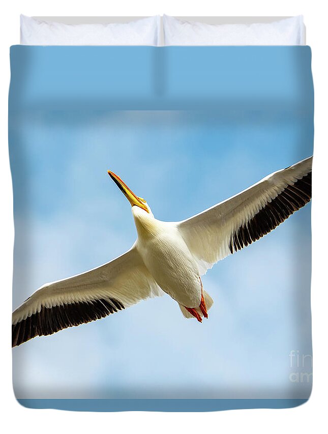 Wing Span Duvet Cover featuring the photograph Wing Span of Pelican #1 by Sandra J's