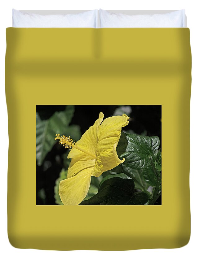 Floral Duvet Cover featuring the photograph Yellow Hibiscus #1 by Thomas Whitehurst