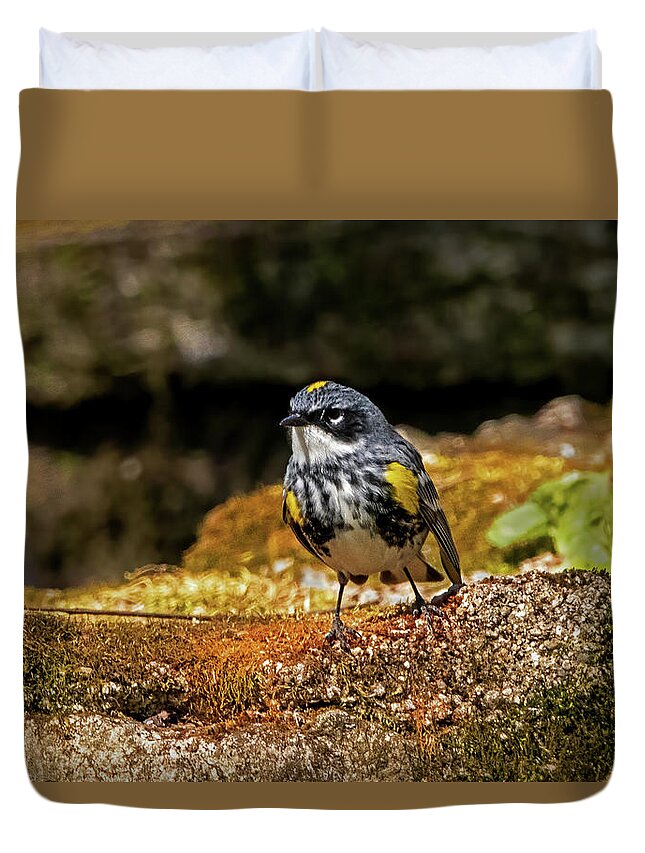 Bird Duvet Cover featuring the photograph Yellow-Rumped Warbler #1 by Ira Marcus