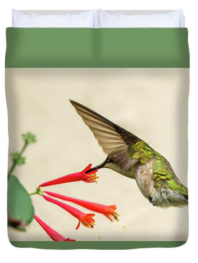 Hummingbird Duvet Cover featuring the photograph Ruby throated hummingbird #10 by Jeffrey PERKINS