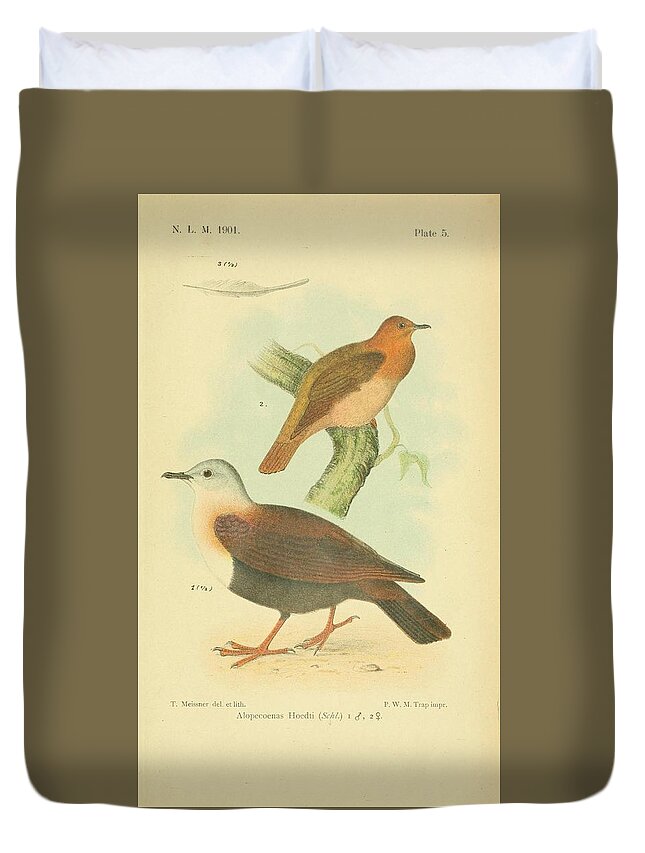 Birds Duvet Cover featuring the mixed media Beautiful Vintage Bird #1167 by World Art Collective