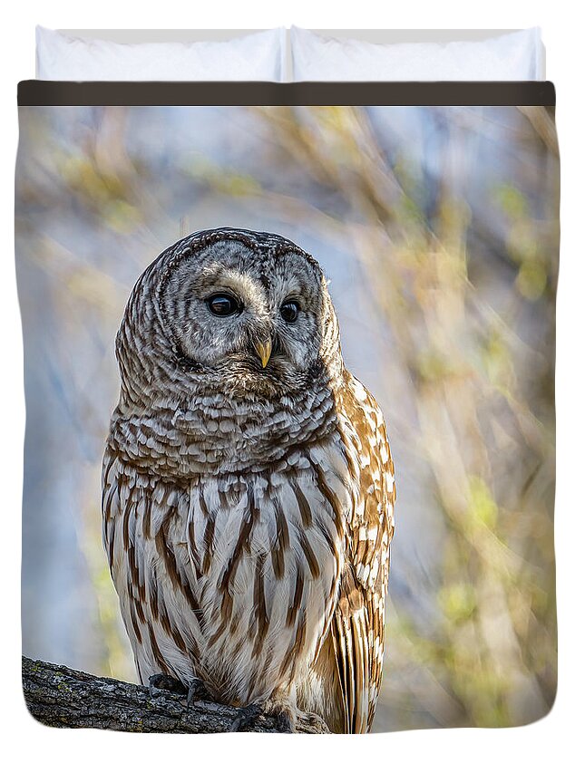 Barred Owl Duvet Cover featuring the photograph Barred Owl by Brad Bellisle