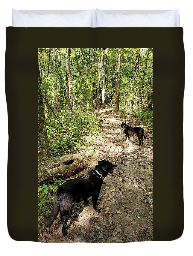 Buck Creek Park Alabaster Alabama Duvet Cover featuring the photograph Buck Creek Park by Kenny Glover