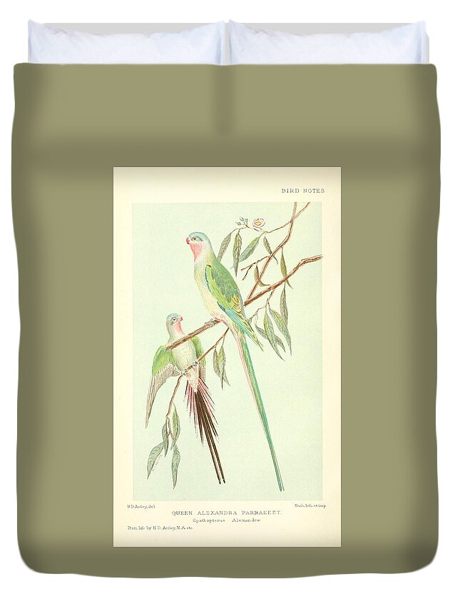 Parrot Duvet Cover featuring the mixed media Beautiful Vintage Parrot #159 by World Art Collective