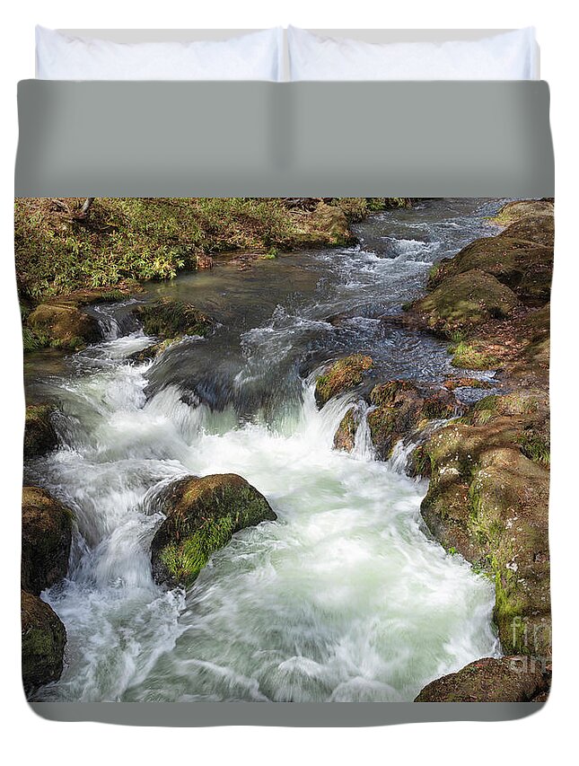 Impressionism Duvet Cover featuring the photograph Fall colors of Nikko Japan #166 by Kiran Joshi