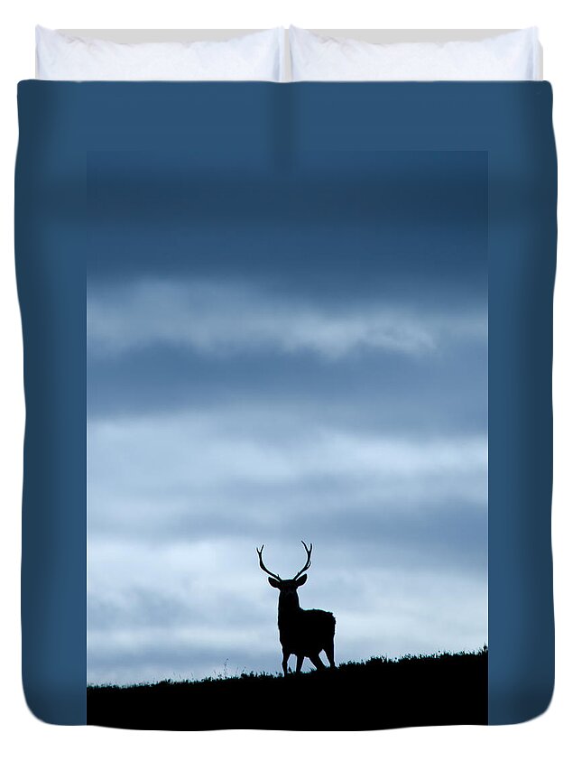 Stag Silhouette Duvet Cover featuring the photograph Stag Silhouette #17 by Gavin MacRae