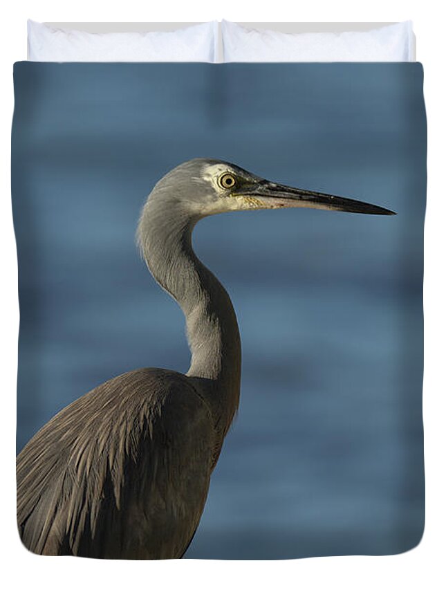 Heron Duvet Cover featuring the photograph 1808wfaceheron3 by Nicolas Lombard
