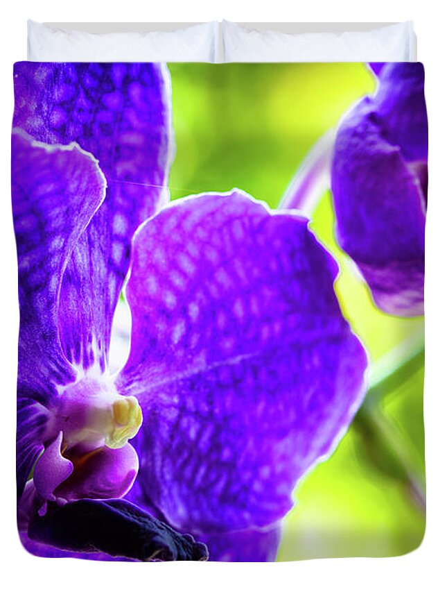 Background Duvet Cover featuring the photograph Purple Orchid Flowers #19 by Raul Rodriguez