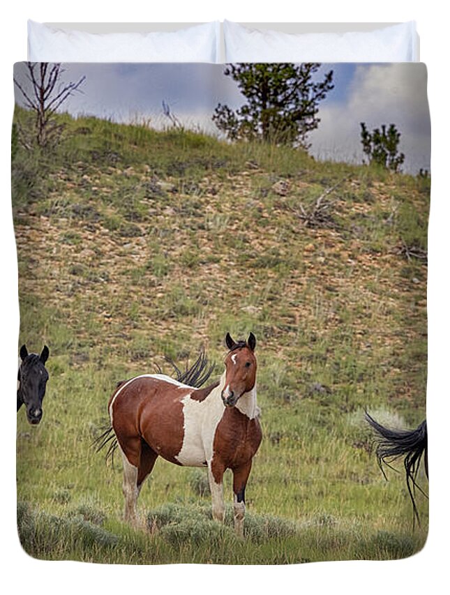 Horse Duvet Cover featuring the photograph Wild Horses #19 by Laura Terriere