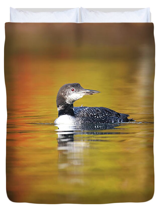 Autumn Duvet Cover featuring the photograph Autumn Loon #2 by Brook Burling