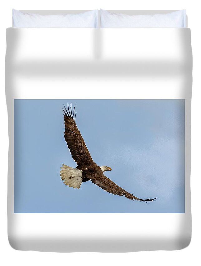 Eagle Duvet Cover featuring the photograph Bald Eagle Soaring #2 by Les Greenwood
