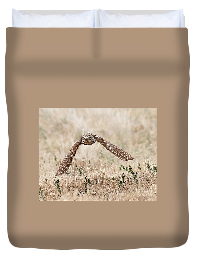 Bird Duvet Cover featuring the photograph Burrowing Owl on the Wing #2 by Dennis Hammer