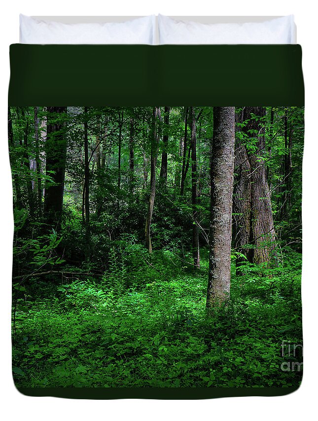 Blue Ridge Duvet Cover featuring the photograph Early Morning Light by Shelia Hunt