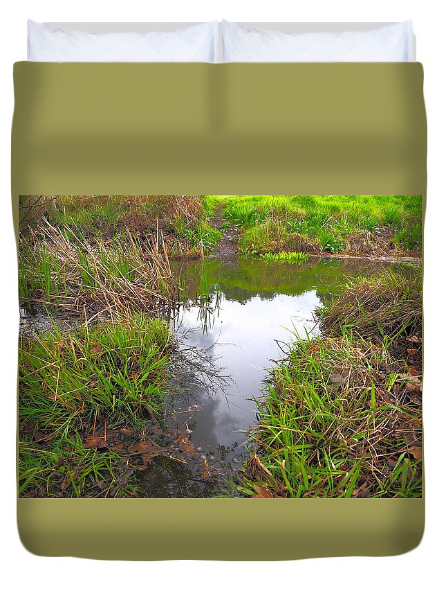 Creek Duvet Cover featuring the photograph Edgewater Creek #2 by Richard Thomas