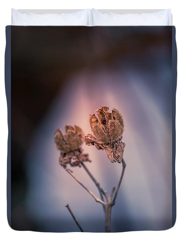 Faded Duvet Cover featuring the photograph Faded Beauty #2 by Allin Sorenson
