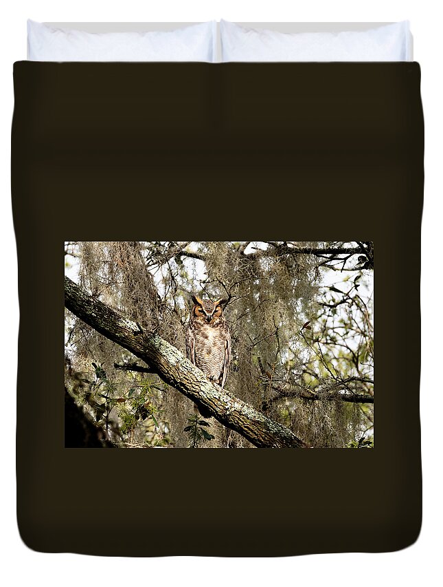 Great Horned Owl Duvet Cover featuring the photograph Great Horned Owl #2 by Colin Hocking