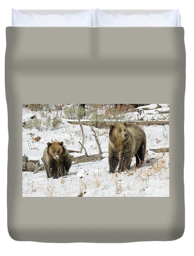 Yellowstone Duvet Cover featuring the photograph Grizzly Sow and Cub #2 by Patrick Nowotny