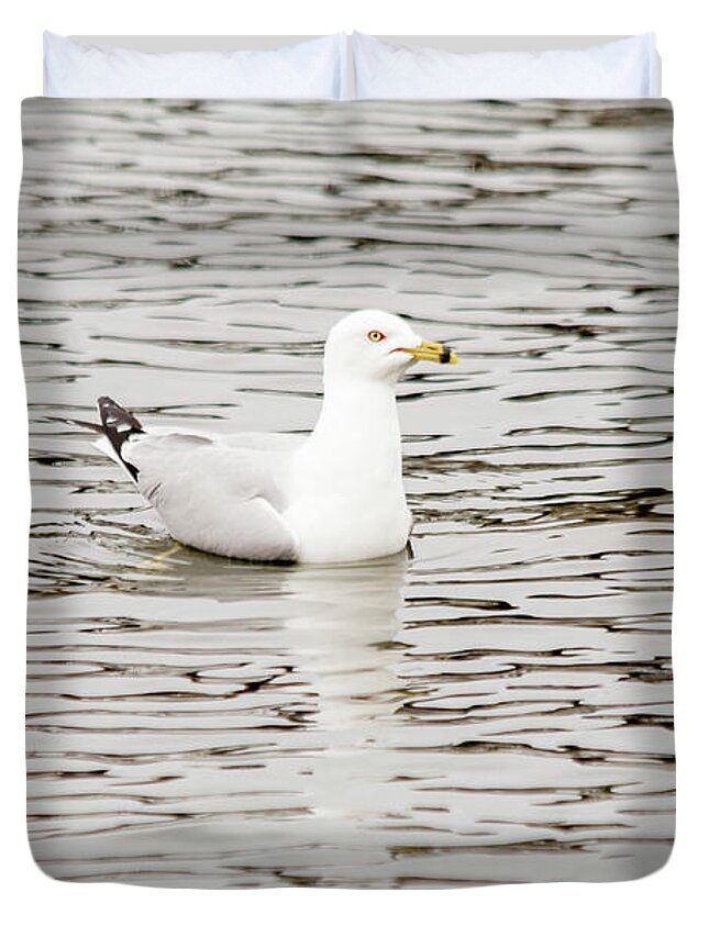 Larus Delawarensis Duvet Cover featuring the photograph Gull floats on water #2 by SAURAVphoto Online Store