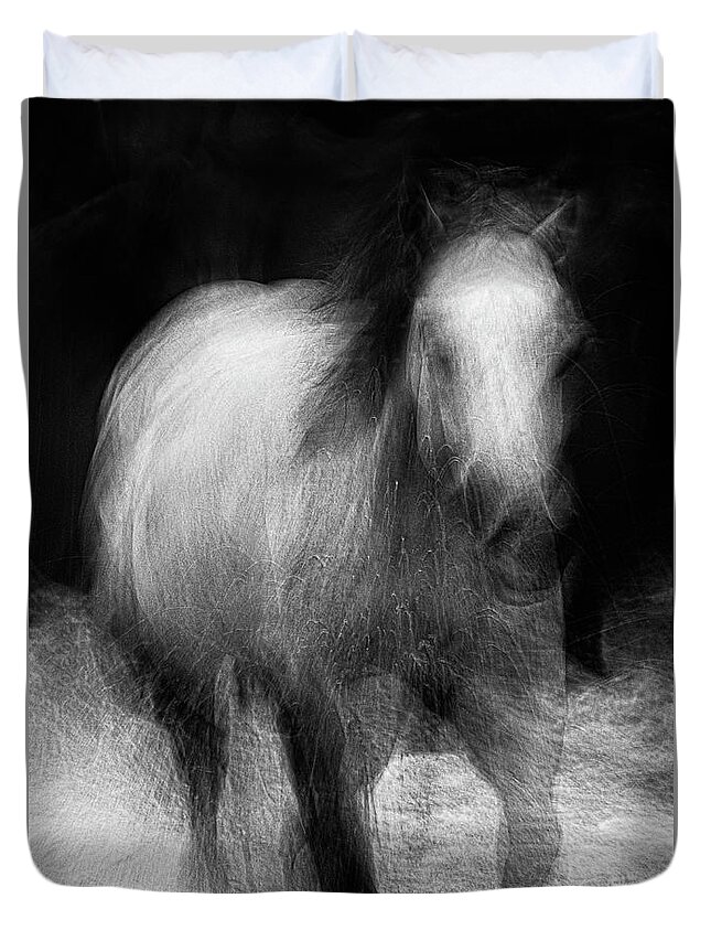 Monochrome Duvet Cover featuring the photograph Horse by Grant Galbraith