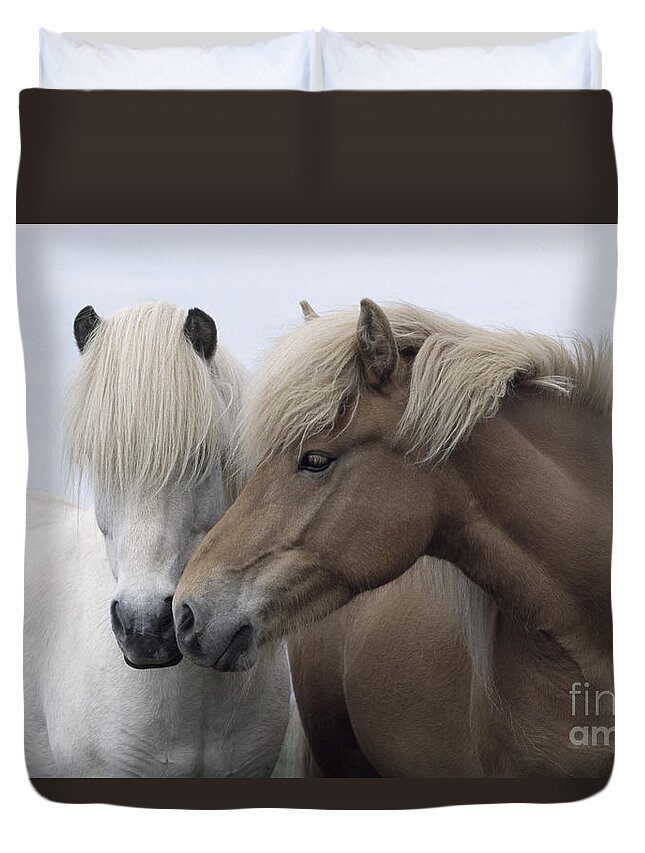 Affection Duvet Cover featuring the photograph Icelandic Horses #1 by John Daniels