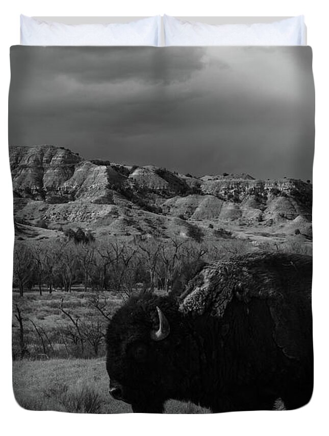 Buffalo Duvet Cover featuring the photograph Lone buffalo at Theodore Roosevelt National Park in North Dakota in black and white #2 by Eldon McGraw