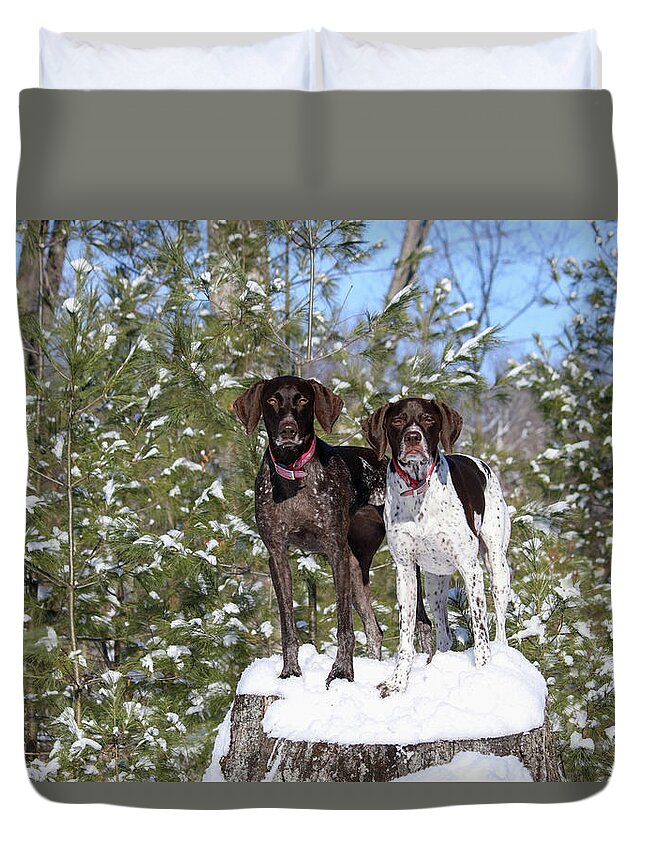 German Shorthaired Pointers Duvet Cover featuring the photograph My Girls by Brook Burling
