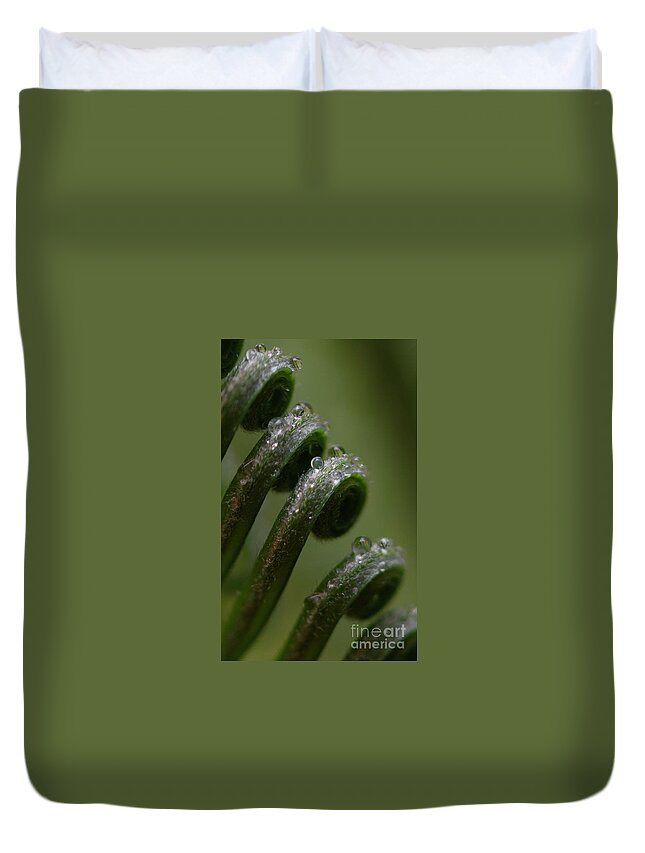 Sago Duvet Cover featuring the photograph Sago Palm #2 by Patrick Nowotny