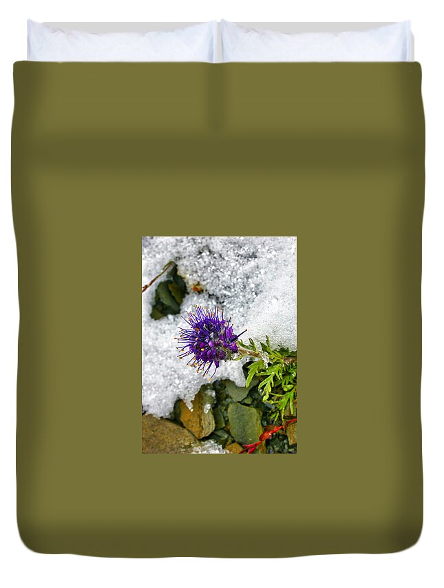 Summer Snow Clover Duvet Cover featuring the photograph Summer Snow Clover #3 by Gene Taylor