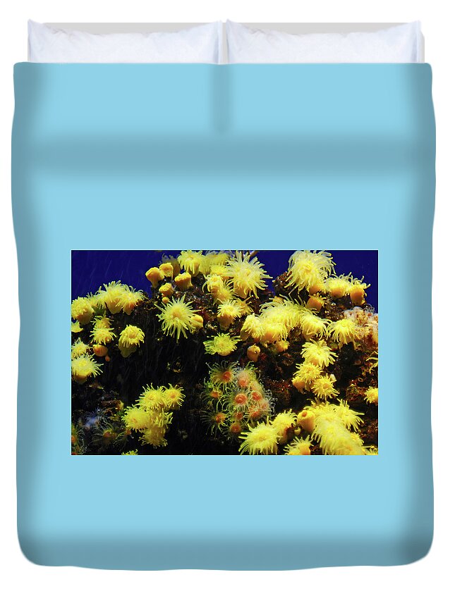 Colorful Duvet Cover featuring the photograph Under water coral life #2 by Severija Kirilovaite