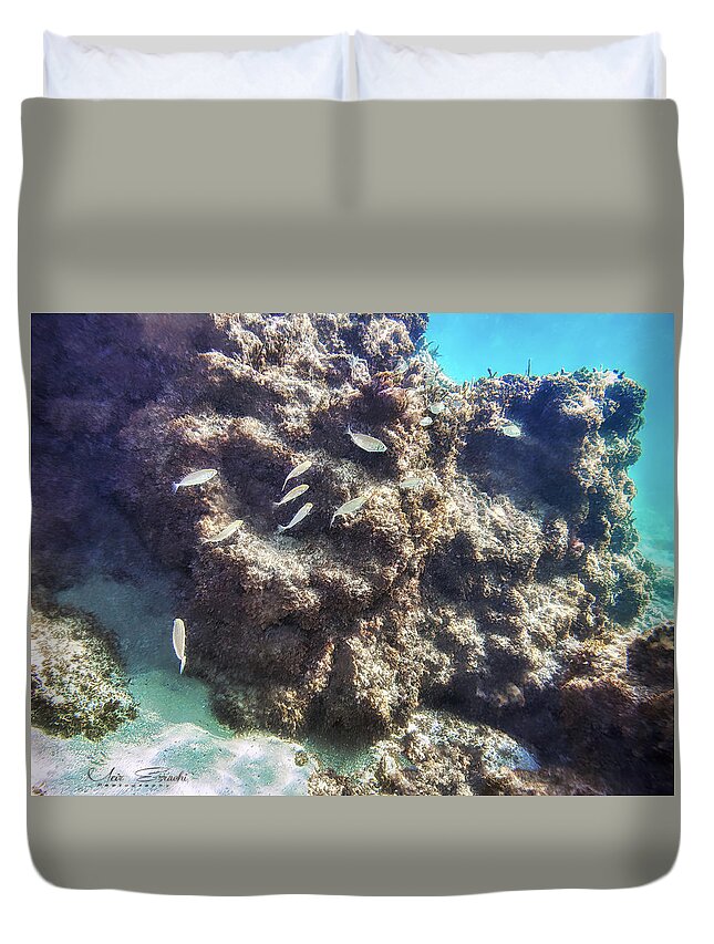 Fish Duvet Cover featuring the photograph Underwater #2 by Meir Ezrachi