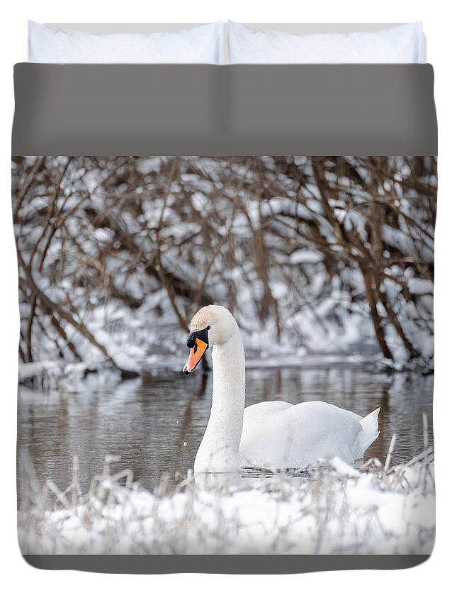 Wild bird mute swan in winter on pond #2 Duvet Cover by Artush Foto - Pixels