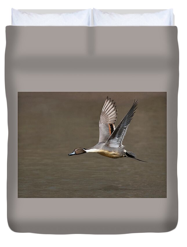 Bird Duvet Cover featuring the photograph Wings Up #1 by Art Cole