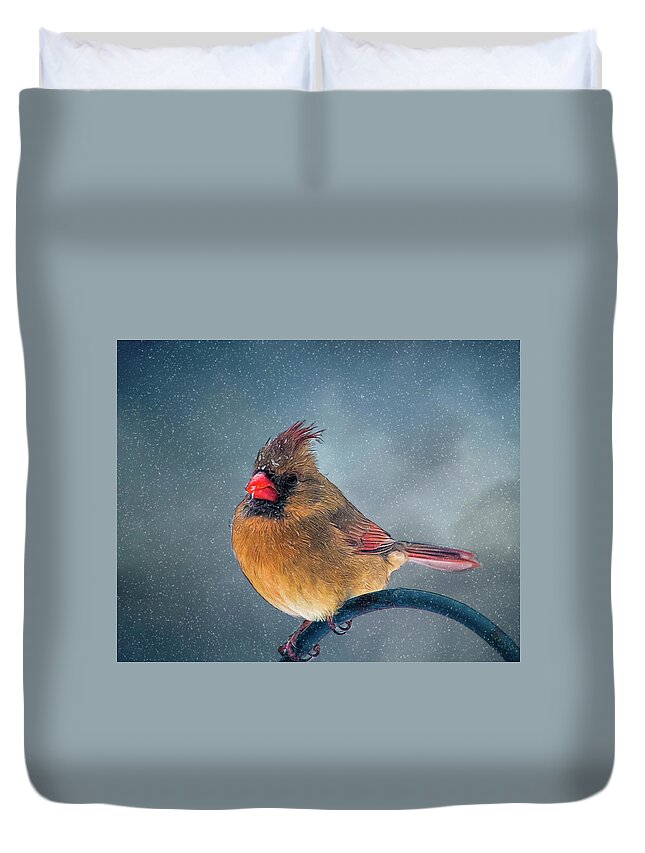 Bird Duvet Cover featuring the photograph Winter Cardinal by Cathy Kovarik