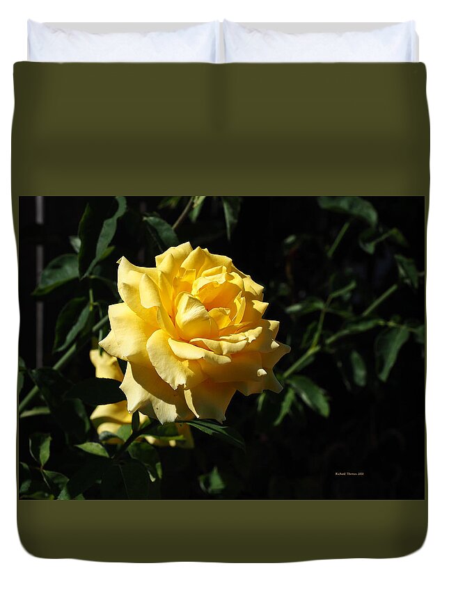 Botanical Duvet Cover featuring the photograph Yellow Beauty #2 by Richard Thomas