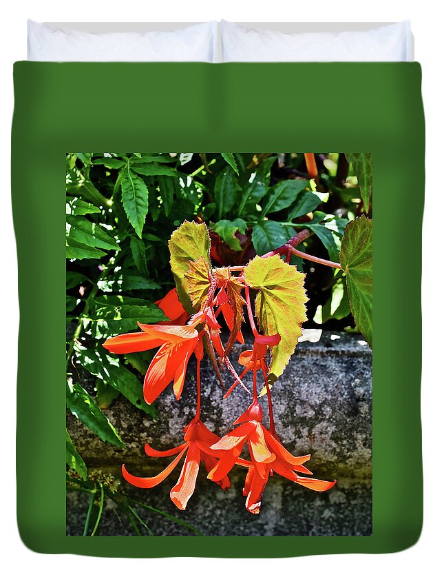 Begonia Duvet Cover featuring the photograph 2020 Mid June Garden Welcome by Janis Senungetuk