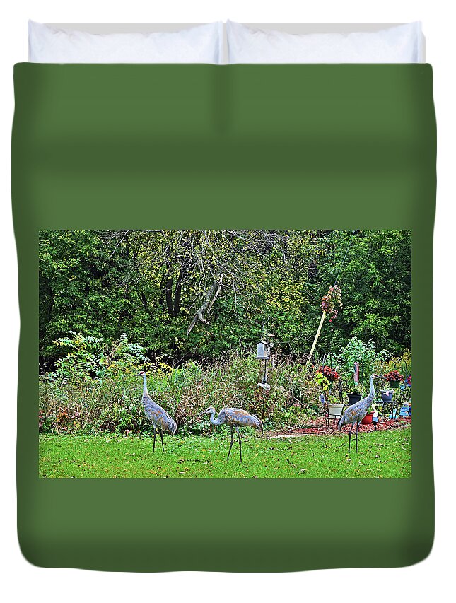 Sandhill Cranes Duvet Cover featuring the photograph 2021 Fall Sandhill Cranes 3 by Janis Senungetuk